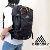 Gregory 罕有Day Pack Bag